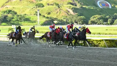 Cinco selectivas dicen presente en la reunión 44 de carreras en La Rinconada Cinco selectivas dicen presente en la reunión 44 de carreras en La Rinconada