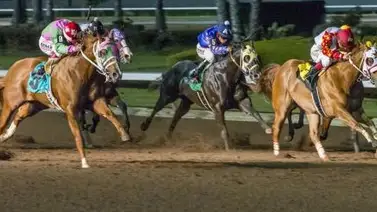 Suspendido por 18 meses y multado por $12.500 veterinario de California Suspendido por 18 meses y multado por $12.500 veterinario de California