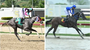 Winter Wonderland vs Bella del Nilo será el duelo de dosañeras en el Clásico Ciudad de Caracas (GI)