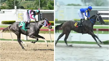 Winter Wonderland vs Bella del Nilo será el duelo de dosañeras en el Clásico Ciudad de Caracas (GI) Winter Wonderland vs Bella del Nilo será el duelo de dosañeras en el Clásico Ciudad de Caracas (GI)