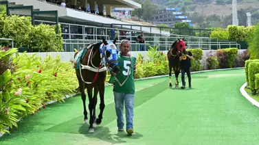 Siete dosañeros se medirán en el Clásico Antonio José de Sucre Siete dosañeros se medirán en el Clásico Antonio José de Sucre