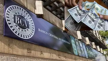 Precio del dólar BCV para este martes 12 de noviembre según el Banco Central de Venezuela Precio del dólar BCV para este martes 12 de noviembre según el Banco Central de Venezuela