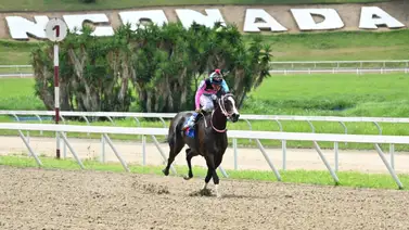 Benedetta a mantener el invicto en el Clásico Nuestra Señora de La Chiquinquirá para hembras Benedetta a mantener el invicto en el Clásico Nuestra Señora de La Chiquinquirá para hembras