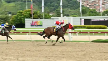 Tuco Salamanca buscará su primera selectiva este domingo en La Rinconada Tuco Salamanca buscará su primera selectiva este domingo en La Rinconada