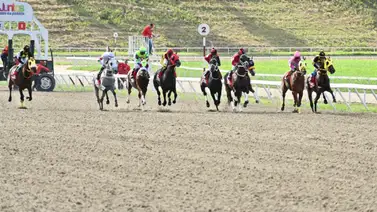 Los mejores sprinters del 2024 van por el Clásico Nuestra Señora de La Chiquinquirá Los mejores sprinters del 2024 van por el Clásico Nuestra Señora de La Chiquinquirá