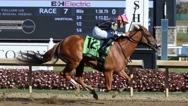 Jockey boricua arrasa con 4 victorias en este hipódromo norteamericano