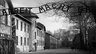 Judíos en Miami conmemoran Kristallnacht en medio de creciente sentimiento antisemita Judíos en Miami conmemoran Kristallnacht en medio de creciente sentimiento antisemita