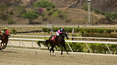 Yegua que está invicta en 2024 reaparece después de 84 días en La Rinconada