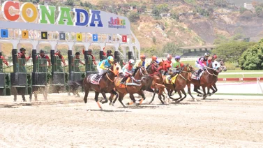 Caballo ganador de una importante selectiva en el 2023 reaparece luego de 385 días sin correr 