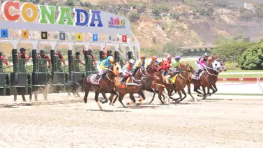 Caballo ganador de una importante selectiva en el 2023 reaparece luego de 385 días sin correr Caballo ganador de una importante selectiva en el 2023 reaparece luego de 385 días sin correr