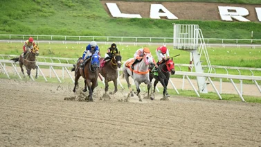 Caballo que en sus últimas ha sido dato reaparece este domingo en La Rinconada