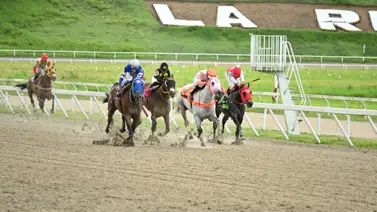 Caballo que en sus últimas ha sido dato reaparece este domingo en La Rinconada Caballo que en sus últimas ha sido dato reaparece este domingo en La Rinconada
