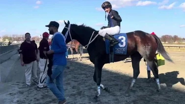Joven jockey venezolano con el mejor dividendo del lunes en Parx Racing