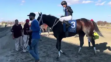 Joven jockey venezolano con el mejor dividendo del lunes en Parx Racing Joven jockey venezolano con el mejor dividendo del lunes en Parx Racing