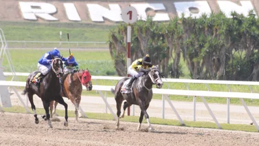 Reaparece ejemplar que terminó invicto en el 2023 luego de 378 días en La Rinconada