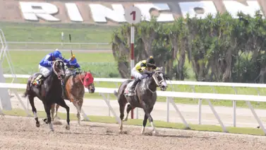 Reaparece ejemplar que terminó invicto en el 2023 luego de 378 días en La Rinconada Reaparece ejemplar que terminó invicto en el 2023 luego de 378 días en La Rinconada