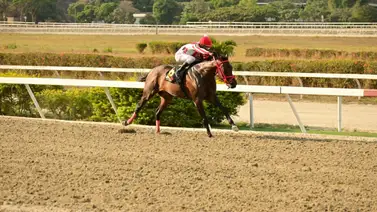 Hijo de Manchester reaparece con buenos trabajos este domingo en La Rinconada Hijo de Manchester reaparece con buenos trabajos este domingo en La Rinconada