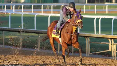 Francisco Arrieta será parte de Las Claiming Crown 2024 en Churchill Downs Francisco Arrieta será parte de Las Claiming Crown 2024 en Churchill Downs
