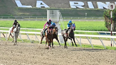 Nieto de Water Poet que esperan victoria desde su debut reaparece luego de 253 días sin correr en pruebas públicas