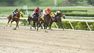 Reaparece hijo de una ganadora del Caribe luego de 140 días sin correr este domingo en La Rinconada Reaparece hijo de una ganadora del Caribe luego de 140 días sin correr este domingo en La Rinconada