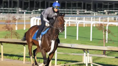 Samuel Camacho Jr. con varias montas en el Claiming Crown de Churchill Downs Samuel Camacho Jr. con varias montas en el Claiming Crown de Churchill Downs