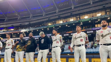 LVBP: Leones del Caracas espera estas próximas incorporaciones (+Video)