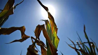 Urgente necesidad de lluvia en el área Tri-Estatal de Nueva York