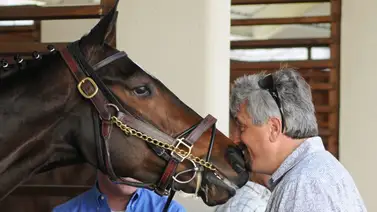 Así quedó la demanda laboral contra entrenador Hall de la Fama en Estados Unidos Así quedó la demanda laboral contra entrenador Hall de la Fama en Estados Unidos