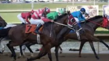 Jockey venezolano gana sus únicas montas del martes en Estados Unidos Jockey venezolano gana sus únicas montas del martes en Estados Unidos