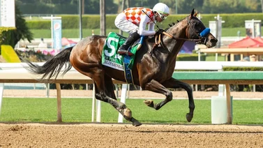Ganador clásico de Grado que entrena Bob Baffert es retirado a la cría