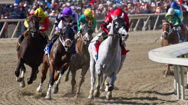 Aprendiz venezolano gana en su única monta del miércoles en Parx Racing