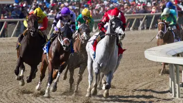 Aprendiz venezolano gana en su única monta del miércoles en Parx Racing Aprendiz venezolano gana en su única monta del miércoles en Parx Racing