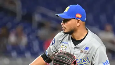 LVBP: Magallanes tiene una deuda con su público en Valencia (+Números) LVBP: Magallanes tiene una deuda con su público en Valencia (+Números)