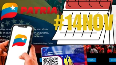 sistema patria