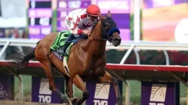 Llega a Venezuela yegua preñada por un ganador de la Breeders’ Cup Juvenile Llega a Venezuela yegua preñada por un ganador de la Breeders’ Cup Juvenile