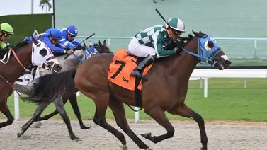 Emisael Jaramillo con 17 montas en el penúltimo fin de semana del Sunshine Meet Emisael Jaramillo con 17 montas en el penúltimo fin de semana del Sunshine Meet