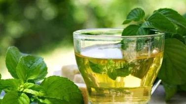¿Qué bebidas son consideradas afrodisíacas?