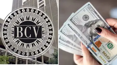 Dólar BCV para este viernes 15 de noviembre según Banco Central de Venezuela Dólar BCV para este viernes 15 de noviembre según Banco Central de Venezuela