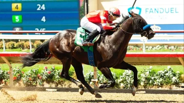 Seis potros de 2 años van por el único stakes de Grado esta semana en Del Mar