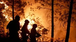 Nueva York alcanza su récord de incendios forestales en dos semanas