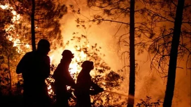 Nueva York alcanza su récord de incendios forestales en dos semanas