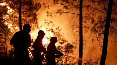 Nueva York alcanza su récord de incendios forestales en dos semanas Nueva York alcanza su récord de incendios forestales en dos semanas