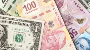 Precio del dólar en México para hoy 15 de noviembre ¿El peso de mantiene estable? Precio del dólar en México para hoy 15 de noviembre ¿El peso de mantiene estable?