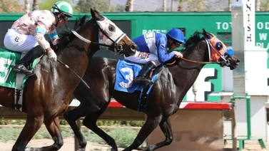 Jockey venezolano gana 5 en la semana y empata el primer lugar en el meeting