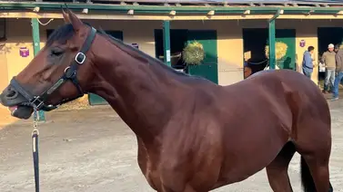 Así está la puntuación de los potros para el Kentucky Derby de 2025 Así está la puntuación de los potros para el Kentucky Derby de 2025