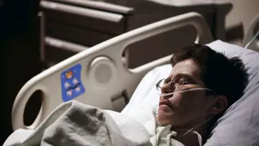 caracol gigante africano en Maracaibo  caracol gigante africano en Maracaibo