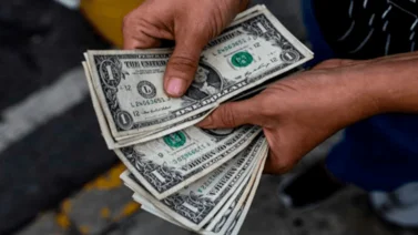 Dólar BCV para este lunes 18 y martes 19 de noviembre según Banco Central de Venezuela