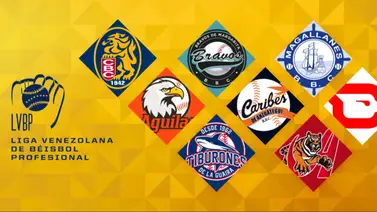 La LVBP estrena innovadora aplicación La LVBP estrena innovadora aplicación