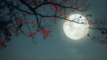 Entérate: Venezolanos disfrutarán de la última Superluna de 2024 (+Detalles) Entérate: Venezolanos disfrutarán de la última Superluna de 2024 (+Detalles)