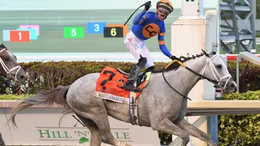 Mira donde inscribieron con Irad Ortiz Jr. al tordillo White Abarrio para reaparecer Mira donde inscribieron con Irad Ortiz Jr. al tordillo White Abarrio para reaparecer